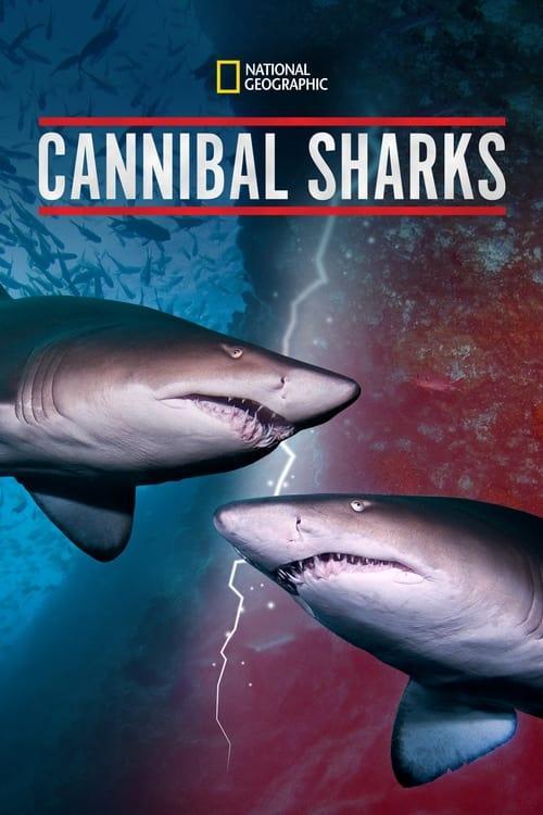 Cannibal Sharks (TV)