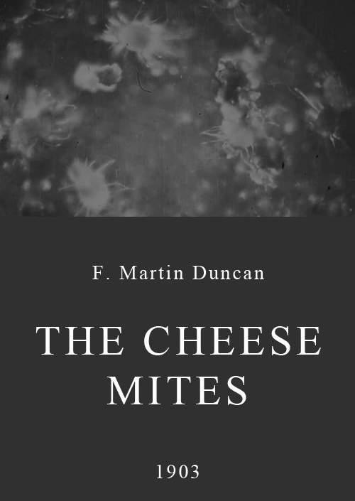 The Cheese Mites (C)