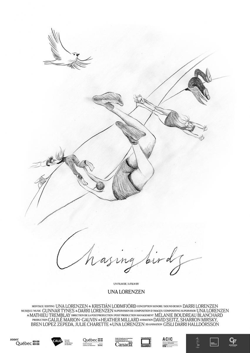 Chasing Birds (C)