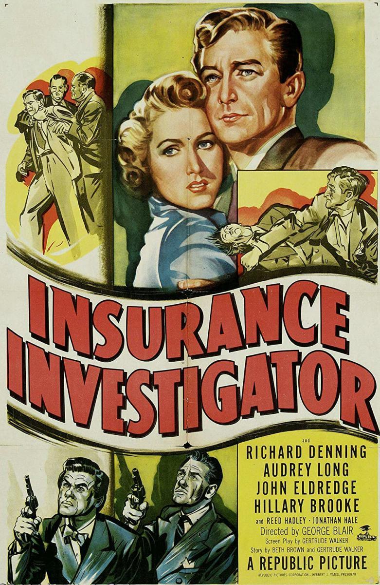 Insurance Investigator