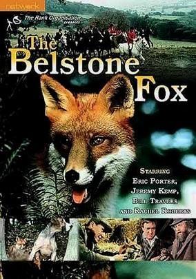 The Belstone Fox