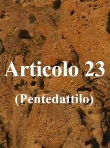 Artículo 23 (C)