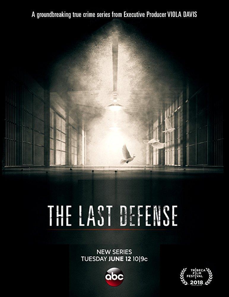 The Last Defense (TV Series)