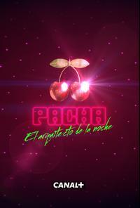 Pacha: The Architect of the Night