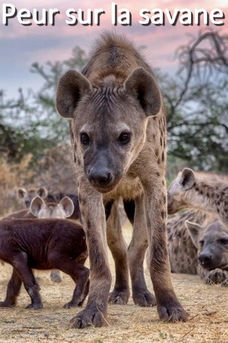 Peur sur la savane