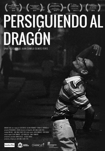 Persiguiendo al dragón