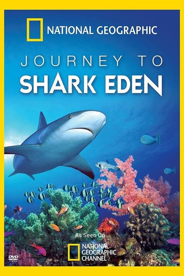 Journey to Shark Eden