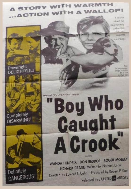 Boy Who Caught a Crook